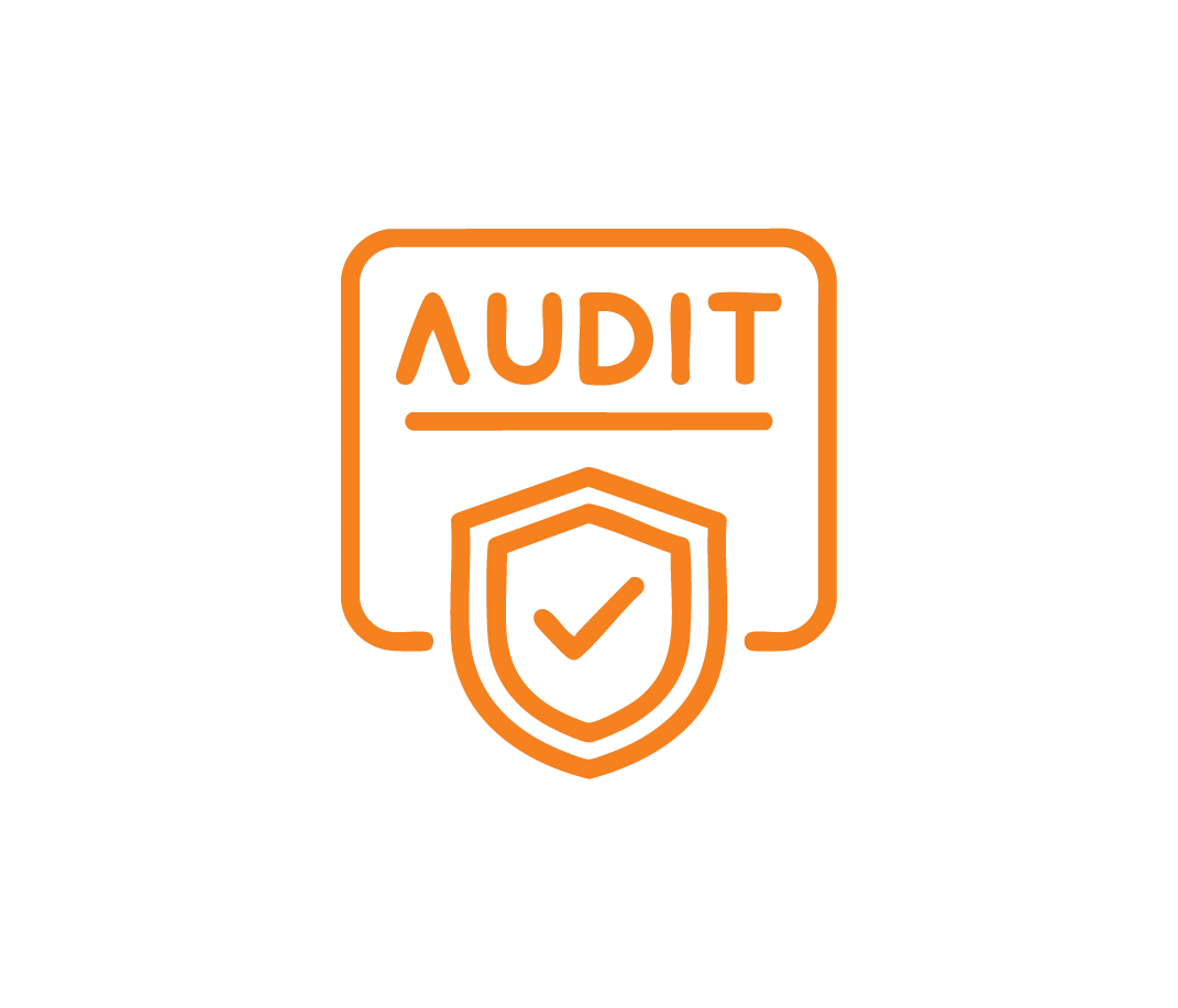 SEBI-Compliant Audit Reports